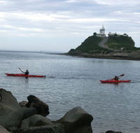 Newcastle Kayak Tours - Accommodation Bookings