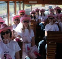 Newcastles Famous Tram - Accommodation Bookings