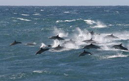  Accommodation Bookings