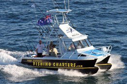 Tamboi Queen Cruises - Accommodation Bookings 3