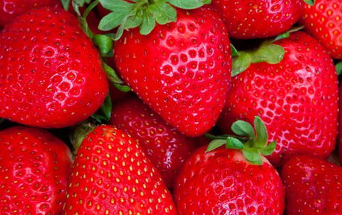 Newcastle City Farmers Markets - Accommodation Bookings 2