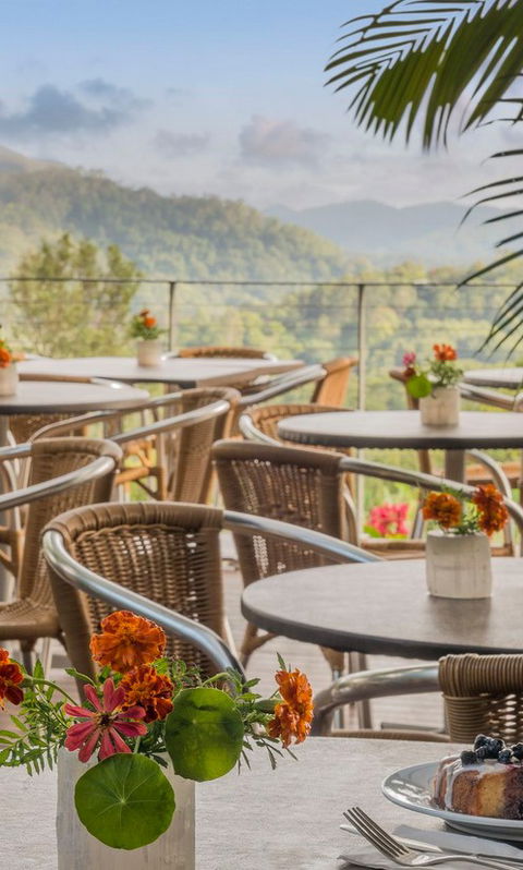 Crystal Castle & Shambhala Gardens - Accommodation Bookings 2