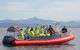 Byron Bay Whale Watching - thumb 2
