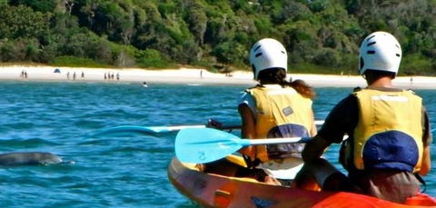 Go Sea Kayak - Accommodation Bookings 2