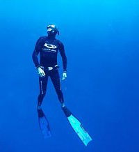 Byron Bay Dive Centre - Accommodation Bookings 1