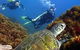 Byron Bay Dive Centre - thumb 3