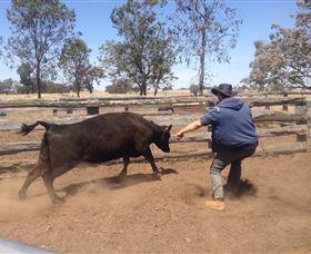 OutBackPackers - Accommodation Bookings 3