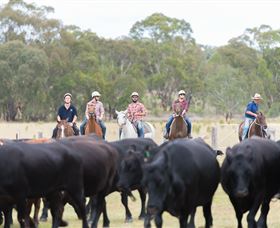 OutBackPackers - Accommodation Bookings 2