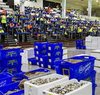 Sydney Fish Market - Accommodation Bookings
