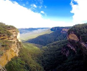 Barefoot Downunder - Accommodation Bookings 2