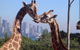 Planetdwellers - Gay And Lesbian Tours Of Australia - thumb 0