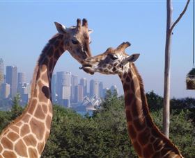 Planetdwellers - Gay And Lesbian Tours Of Australia - Accommodation Bookings 0