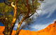 The Artery Aboriginal Art - thumb 2