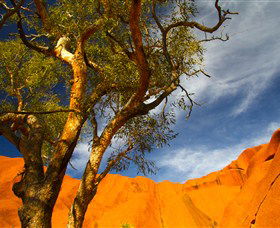 The Artery Aboriginal Art - Accommodation Bookings 2