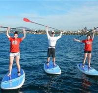 Sydney Scenic SUP - Stand Up Paddle Tours - Accommodation Bookings
