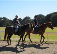 Centennial Parklands Equestrian Centre - Accommodation Bookings