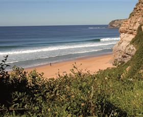 Manly Surf Guide - Accommodation Bookings 4