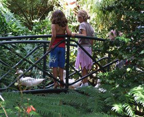 EG Waterhouse National Camellia Garden - Accommodation Bookings 0
