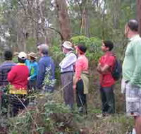 Boronia Tours - Accommodation Bookings