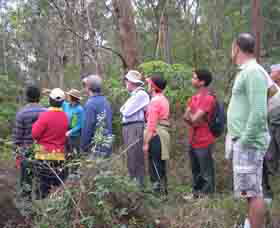 Boronia Tours - Accommodation Bookings 0