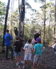 Boronia Tours - Accommodation Bookings 1