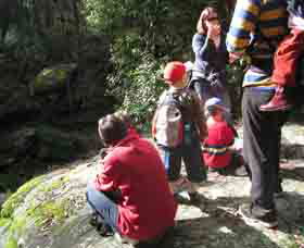 Boronia Tours - Accommodation Bookings 2