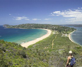 Palm Beach - Accommodation Bookings 7