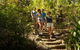 Ingleburn Reserve - thumb 0
