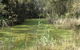 Second Ponds Creek Walk - thumb 0
