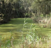 Second Ponds Creek walk - Accommodation Bookings