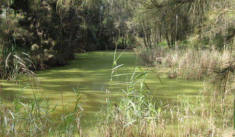 Second Ponds Creek Walk - Accommodation Bookings 0
