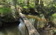 Second Ponds Creek Walk - thumb 2