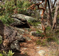 Box Head track - Accommodation Bookings