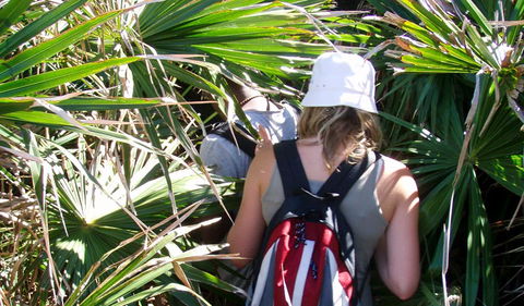 Palm Jungle Loop Track - Accommodation Bookings 0