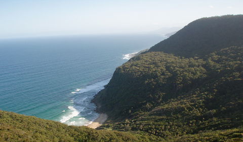 Palm Jungle Loop Track - Accommodation Bookings 1