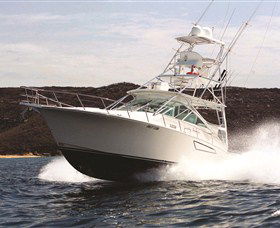 1300 Big Fish - Accommodation Bookings 0