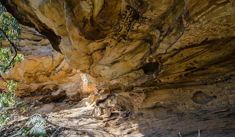Marramarra National Park - Accommodation Bookings 0
