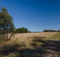 Scheyville horse riding trails - Accommodation Bookings