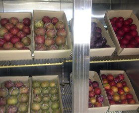 Canoelands Orchard - Accommodation Bookings 1