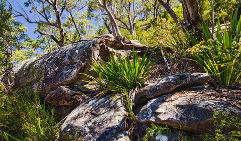 Canoelands Ridge Walking Track - Accommodation Bookings 1