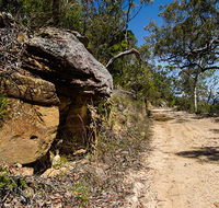 Canoelands Ridge walking track - Accommodation Bookings