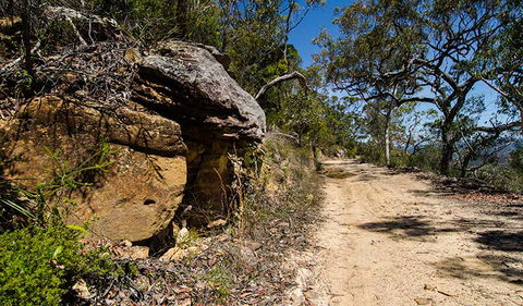 Canoelands Ridge Walking Track - Accommodation Bookings 0
