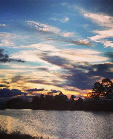 Governor Phillip Park - Accommodation Bookings 0