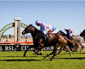 Hawkesbury Race Club - Accommodation Bookings 1