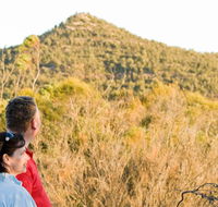 Piles Creek loop - Accommodation Bookings