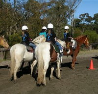 Darkes Forest Riding Ranch - Accommodation Bookings