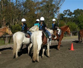Darkes Forest Riding Ranch - Accommodation Bookings 0