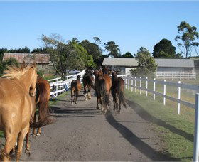 Darkes Forest Riding Ranch - Accommodation Bookings 1