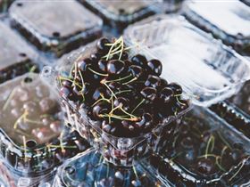 Adelaide Farmers' Market Showground - Accommodation Bookings 1