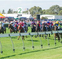 Morphettville Racecourse - Accommodation Bookings